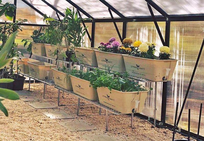 Galvanised Stands