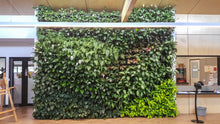 Load image into Gallery viewer, Gro-Wall Vertical Wall Garden 4.5 Kit
