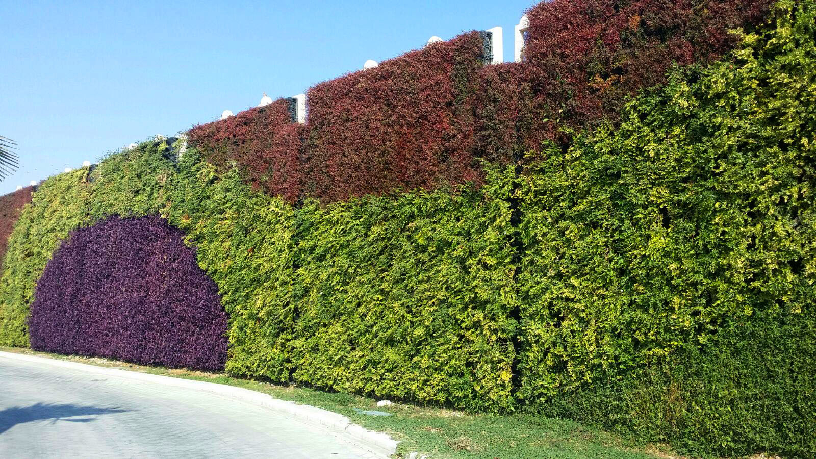 Gro-Wall Vertical Wall Garden - Slim Kit