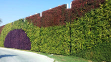 Load image into Gallery viewer, Gro-Wall Vertical Wall Garden - Slim Kit
