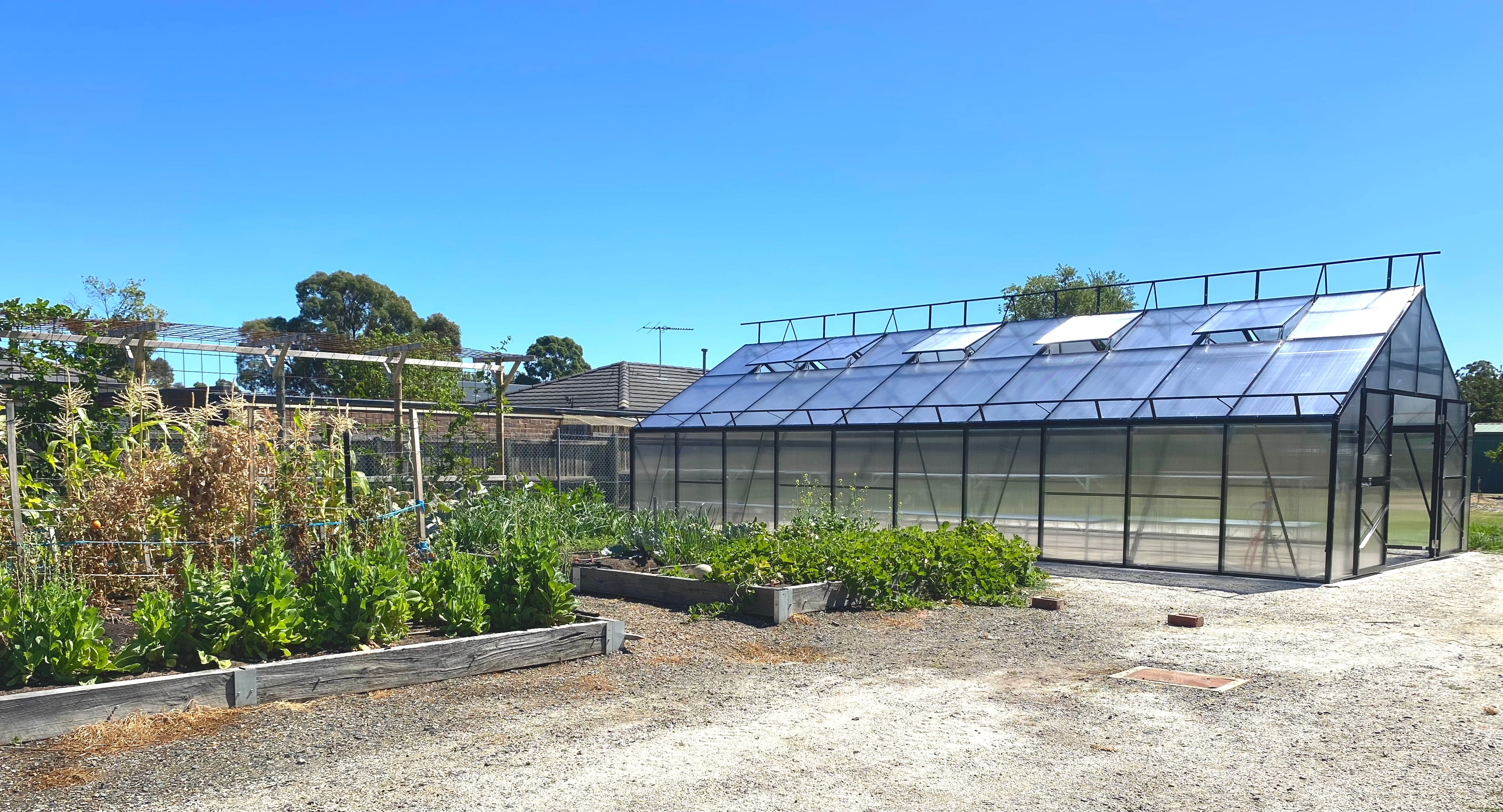 Grange-5 Greenhouse 10000 (5m x 10m)