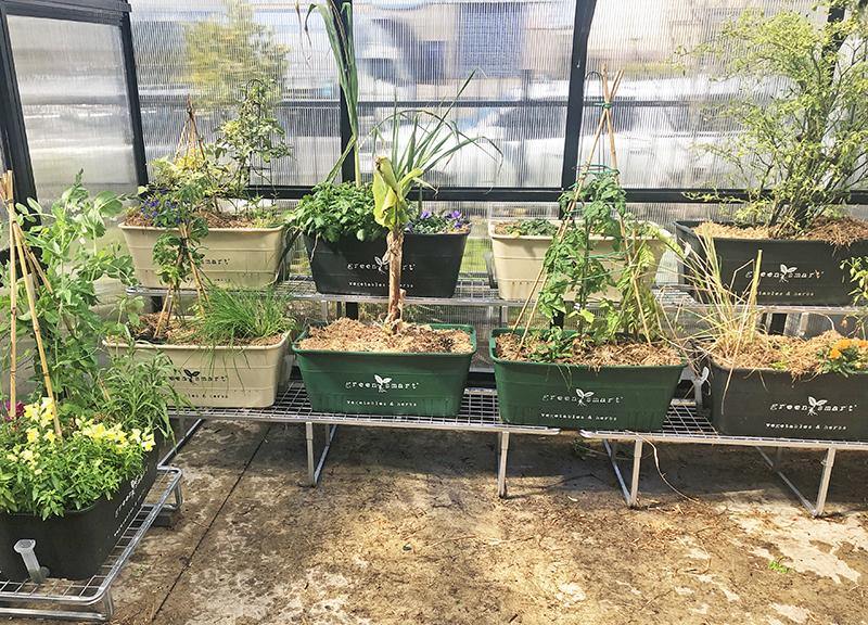 Tiered 1900L Galvanised Stand - Sproutwell Greenhouses