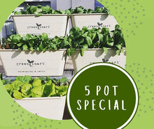 Load image into Gallery viewer, 5 POT Special $300 - Sproutwell Greenhouses
