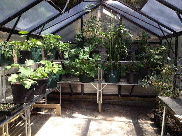 Grange-3 8000 - Sproutwell Greenhouses