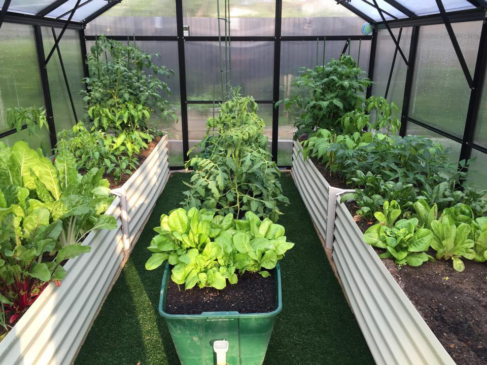 Grange-3 Greenhouse 3000  (3m x 3m)