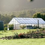 Grange-7 Greenhouse 16000 (7m x 16m)