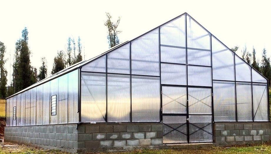 Grange-7 Greenhouse 12000 (7m x 12m)