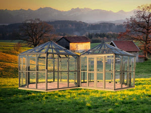 Hexagonal Entertainer- Deluxe - Sproutwell Greenhouses