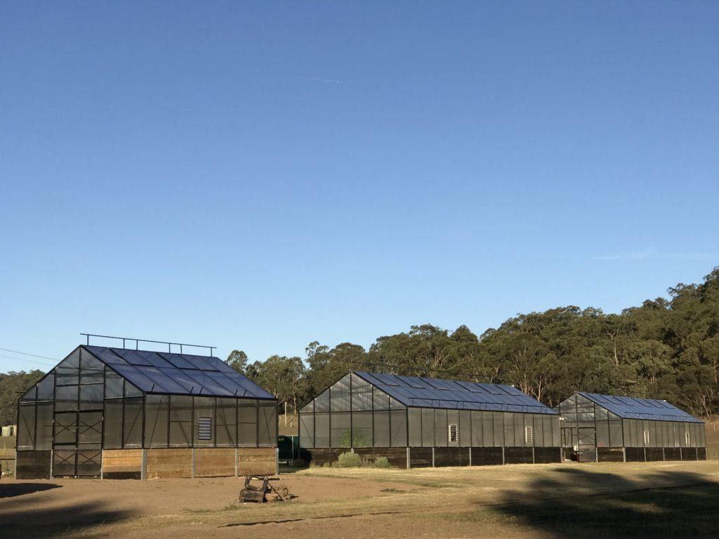 Grange-5 6000 - Sproutwell Greenhouses