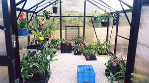 Grange-3 Greenhouse 5000 (3m x 5m)