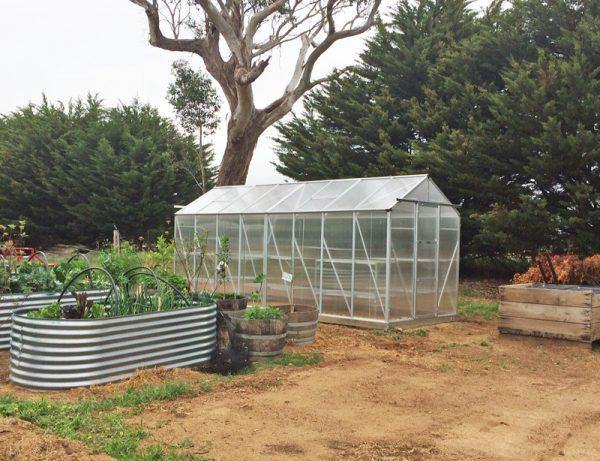 Garden Pro 5000 Narrow Model - Sproutwell Greenhouses