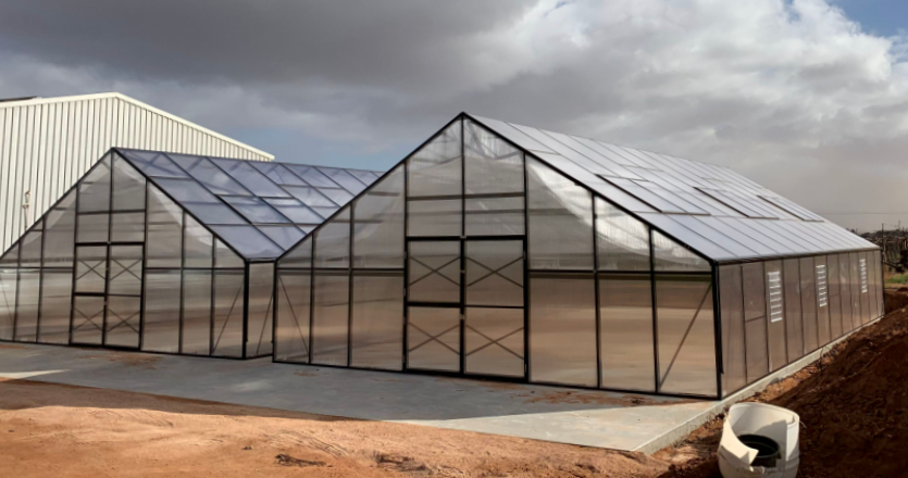 Grange-7 Greenhouse 12000 (7m x 12m)