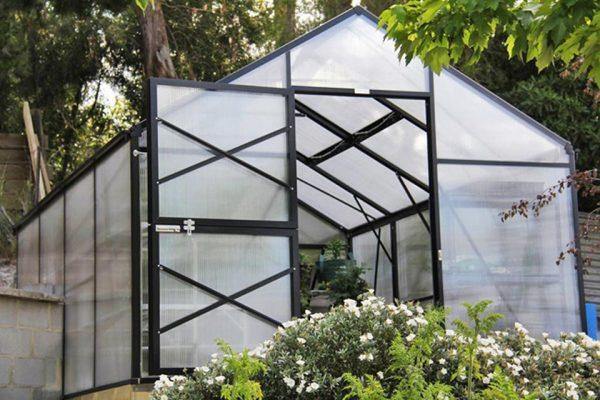 Grange-3 8000 - Sproutwell Greenhouses