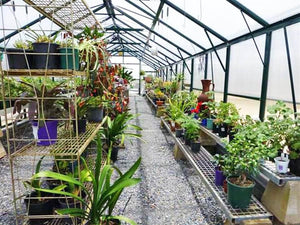 Grange-4 14000 - Sproutwell Greenhouses