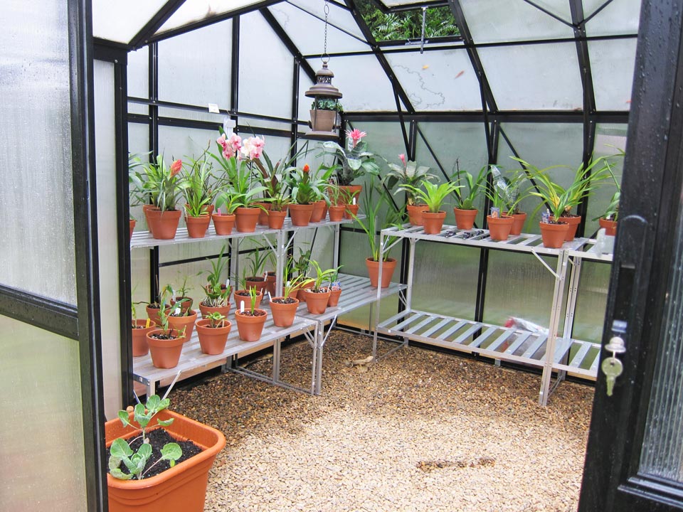 Orangery Compact Greenhouse (3.2m x 3.7m)