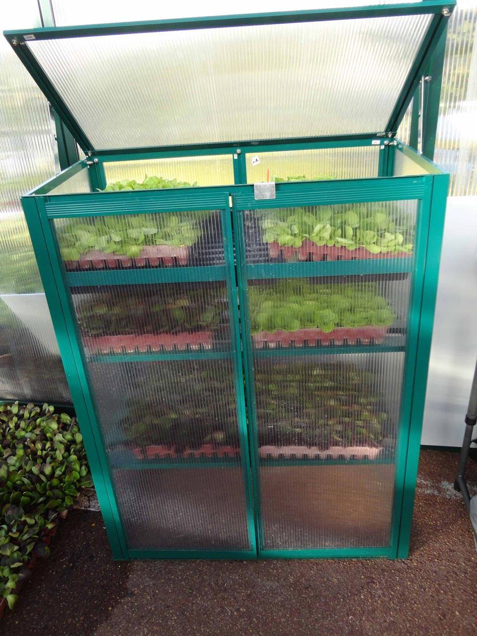 Mini Space Saver - Sproutwell Greenhouses