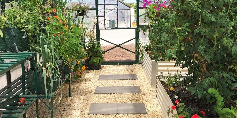 Tip 7: Greenhouse Pollination ???? - Sproutwell Greenhouses