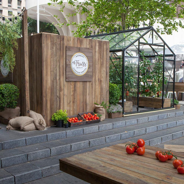 Tip 6: How To Grow The Perfect Tomato