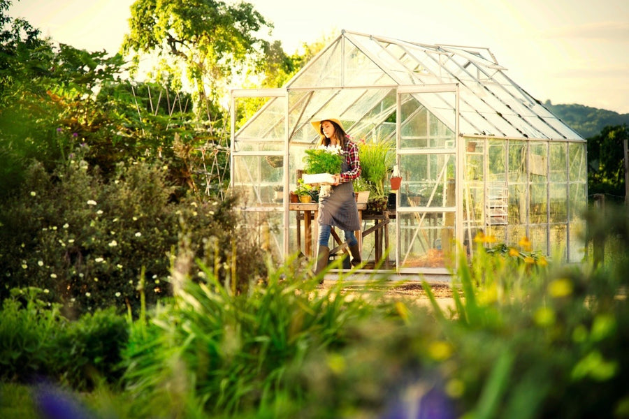 How To Choose A Greenhouse For Sale