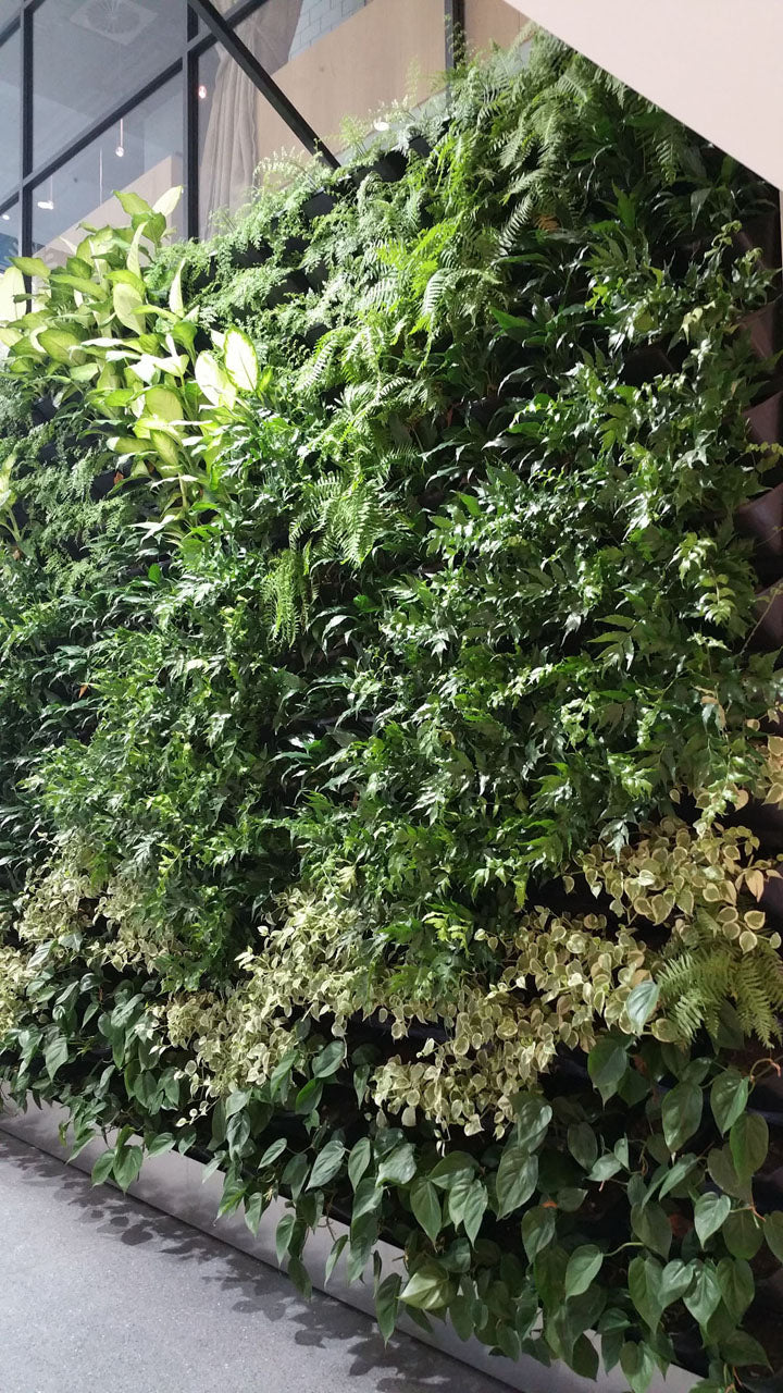 Gro-Wall Vertical Wall Garden 4.5 Kit