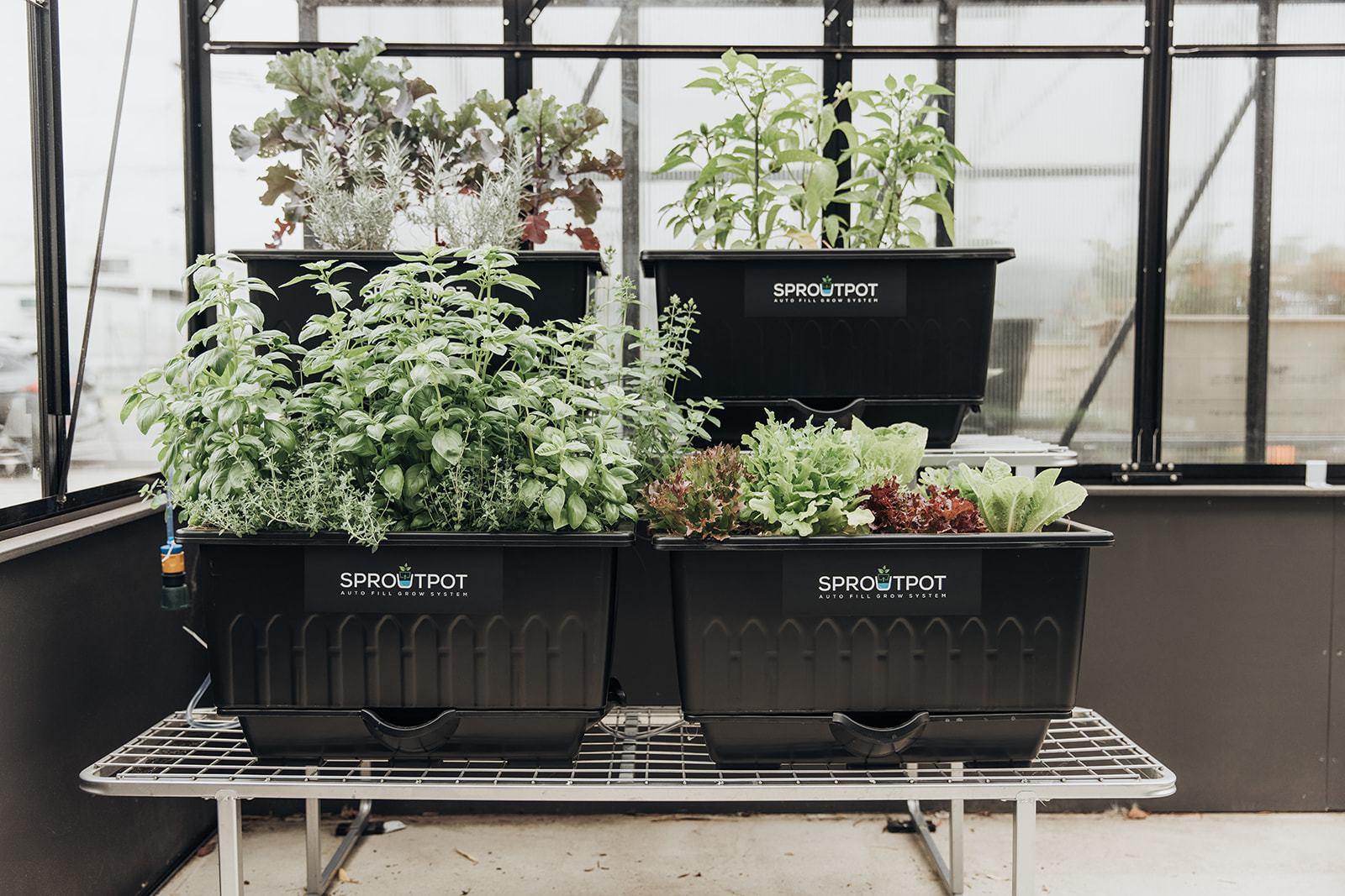 SproutPot- Single - Sproutwell Greenhouses