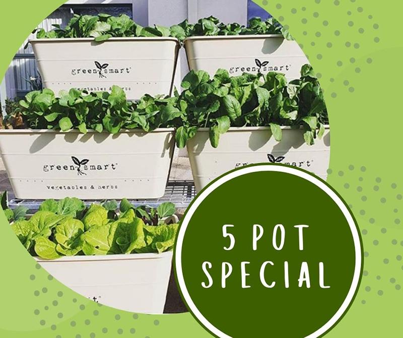 GreenSmart- 5 Pot Special