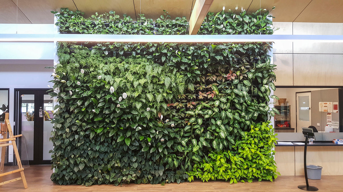 Curated visual reference: Visual Reference: Gro Wall Vertical Wall Garden 4 5 Kit