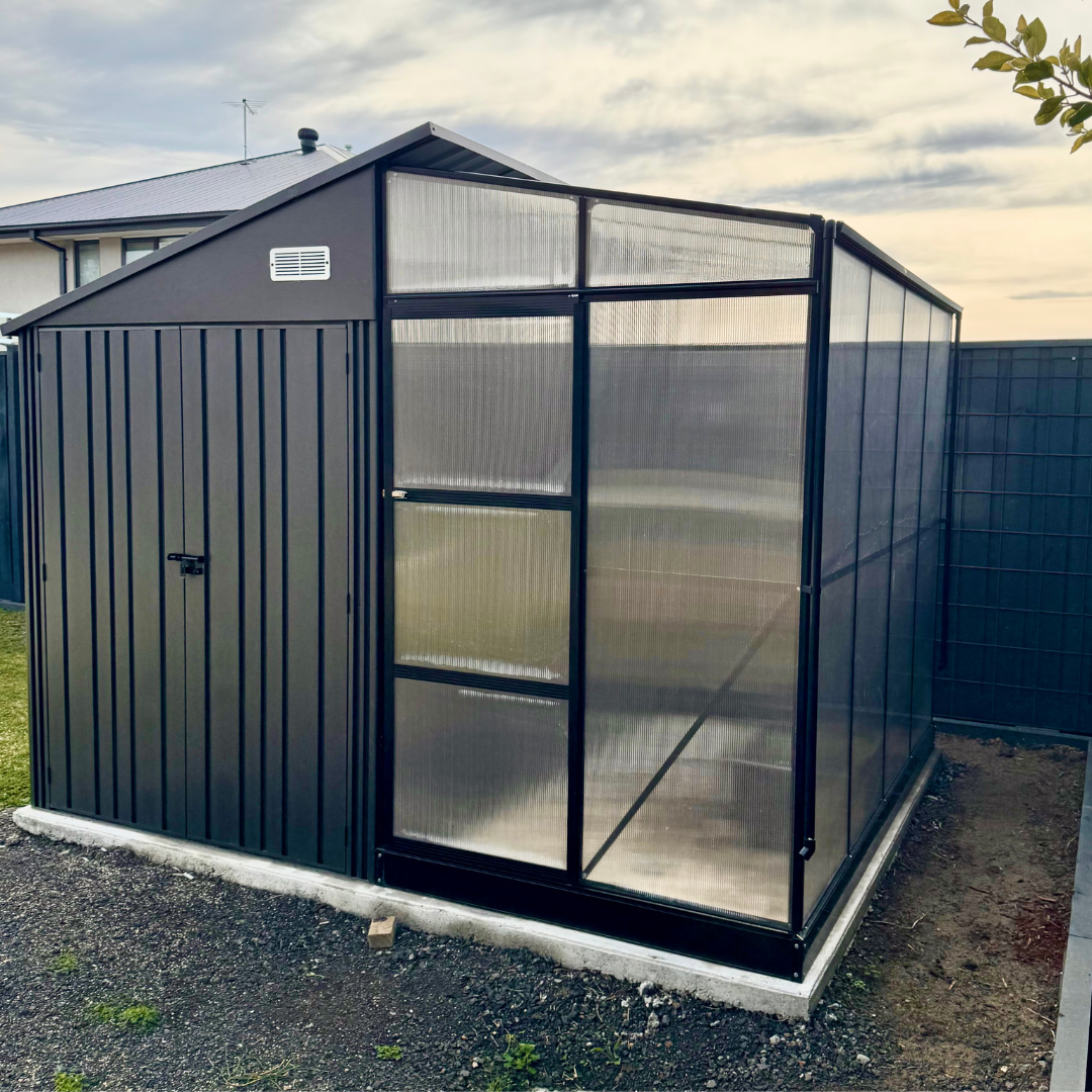 The Charlemont - Shed / Greenhouse Combination