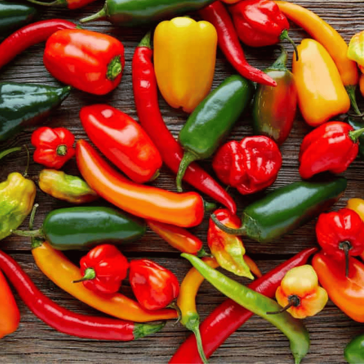 Survival Seeds