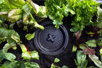 Foodcube Comput In Situ Worm Composter