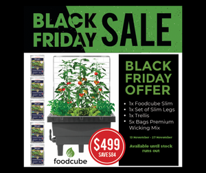 Foodcube Slim - Black Friday Special