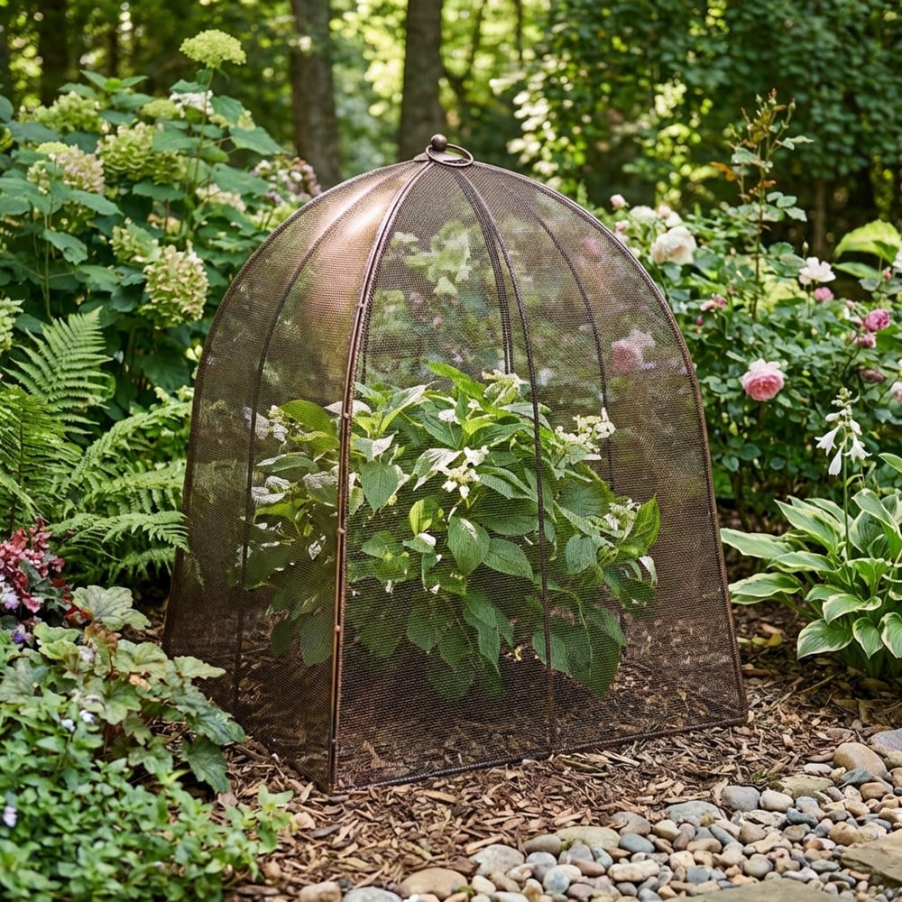 Classic Cloche