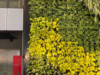 Gro-Wall Vertical Wall Garden 4.5 Kit