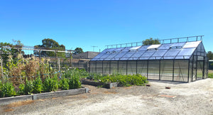 Grange-5 Greenhouse 8000 (5m x 8m)