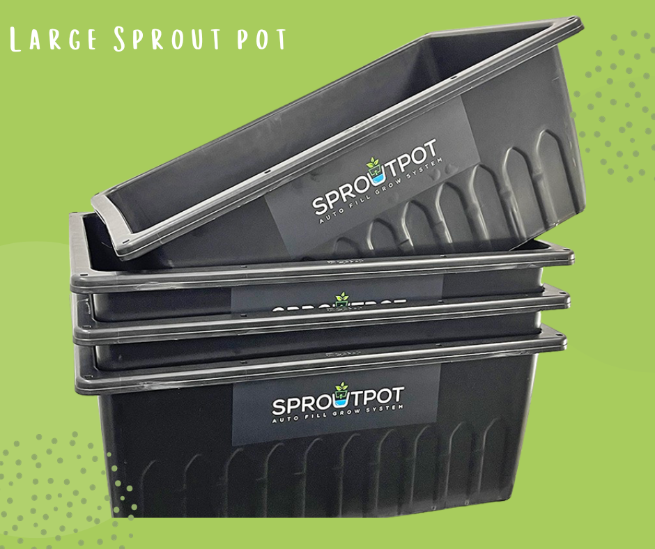 SproutPot - Large