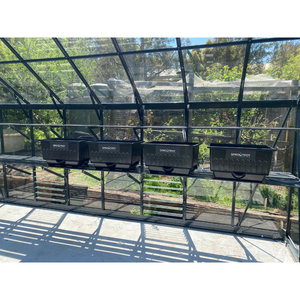 Regalia Grandio Glasshouse - 3.6M Wide 4800 Model