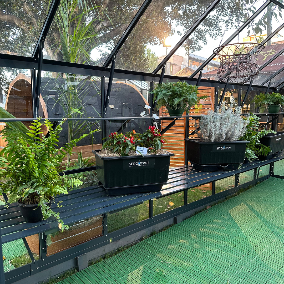 Regalia Grandio Glasshouse - 3.6M Wide 8600 Model