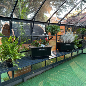 Regalia Grandio Glasshouse - 3.6M Wide 6600 Model