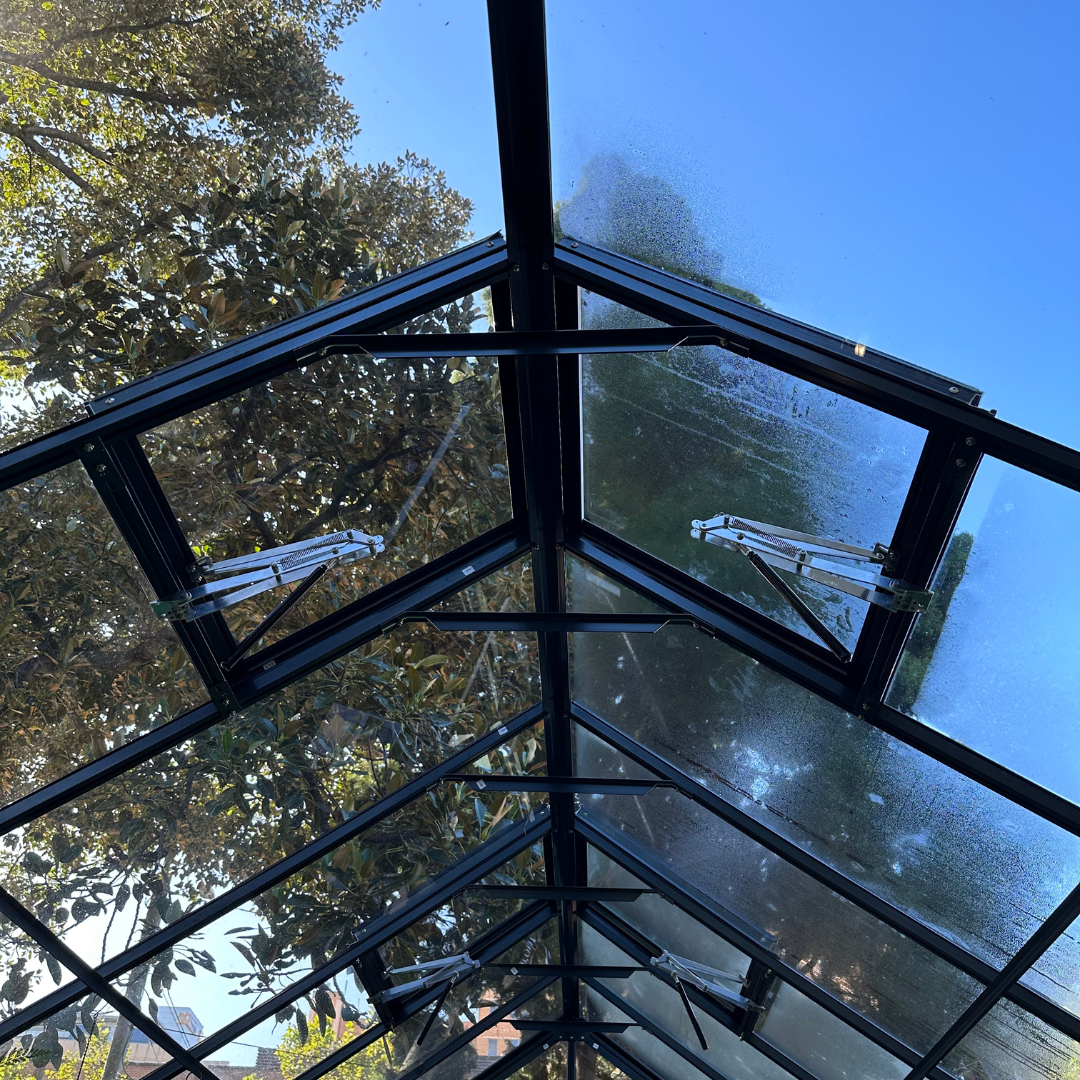 Regalia Grandio Glasshouse - 3.6M Wide 8600 Model