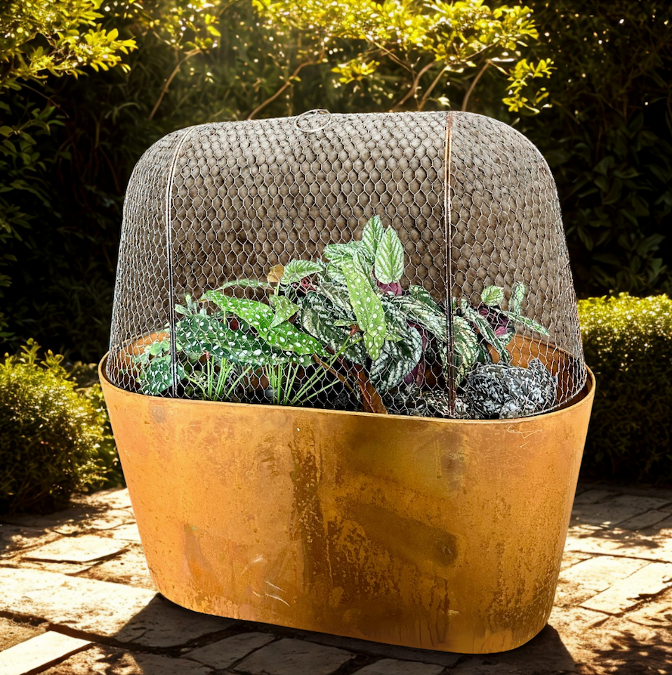 Oval Style Cloche