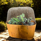 Oval Style Cloche