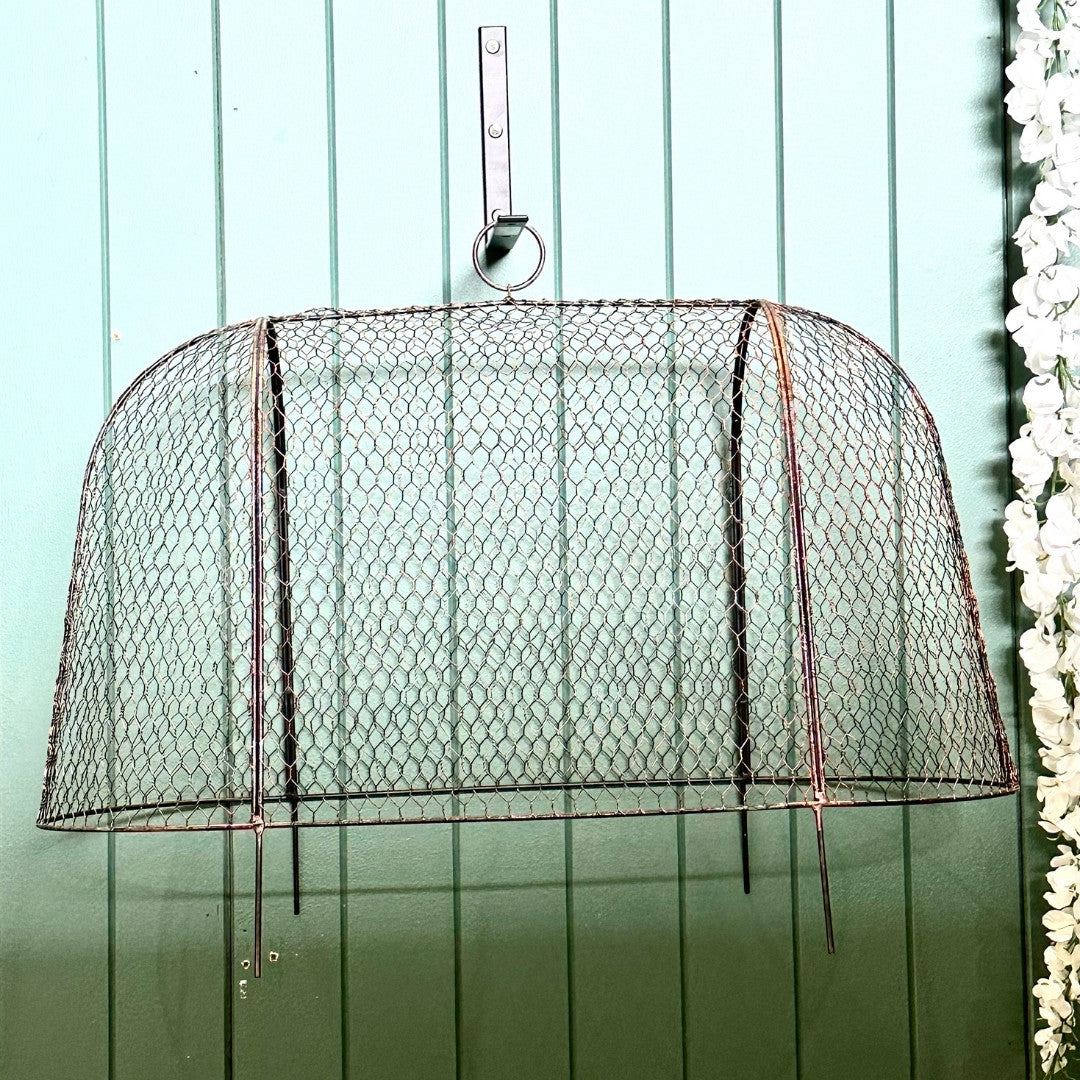 Oval Style Cloche