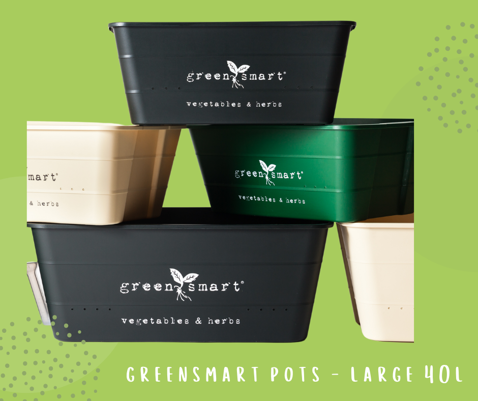 GreenSmart Pot Large (40L)