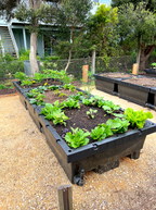 Foodcube System