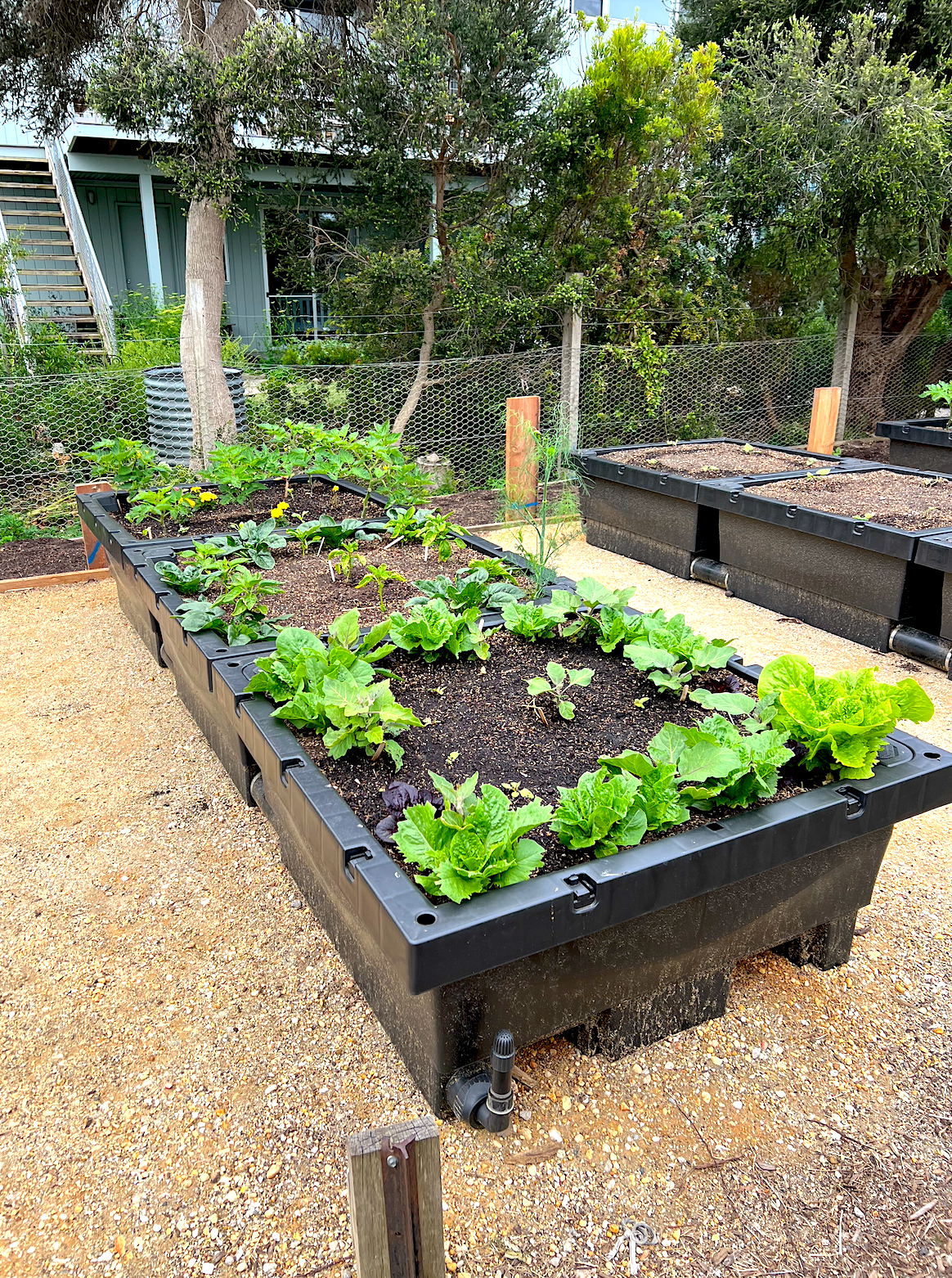 Foodcube System