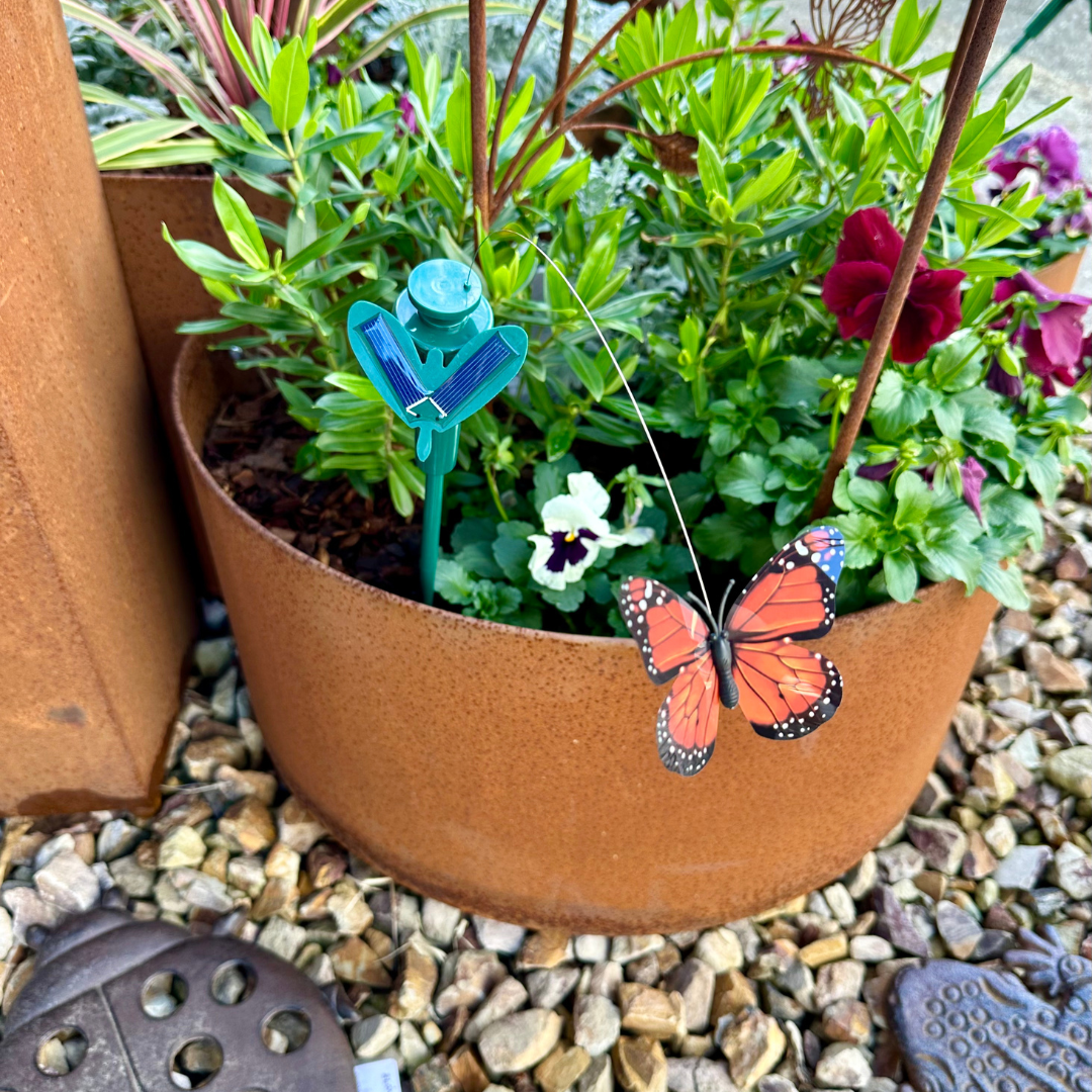 Solar Garden Butterfly