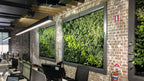 Gro-Wall Vertical Wall Garden - Slim Kit