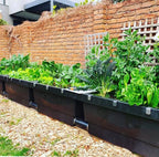 Foodcube System