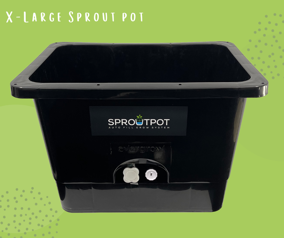 SproutPot- X-Large