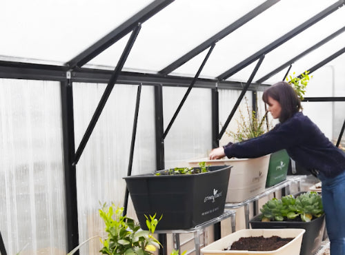 Greenhouse & Glasshouse Set Up